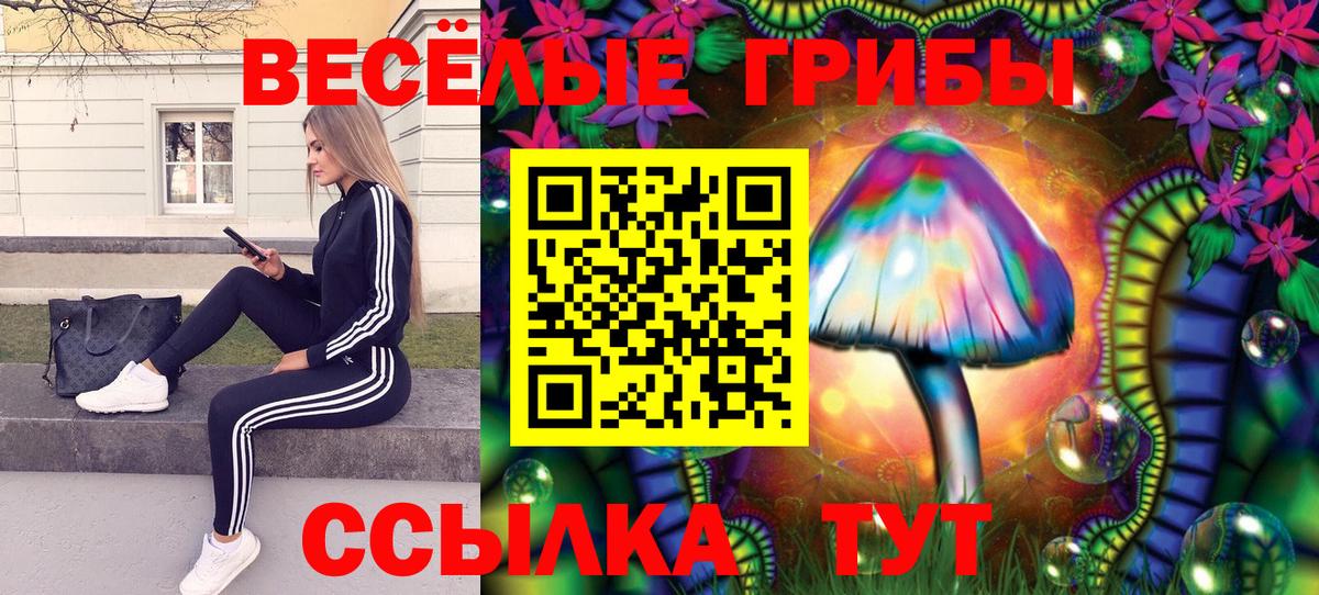 Галлюциногенные грибы Cubensis Зеленокумск