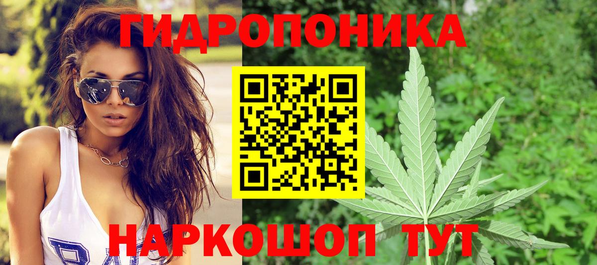 Канабис Ganja Зеленокумск